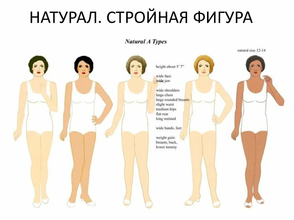 Types of natural. Типаж романтик Двин Ларсон. Кибби Ларсон типажи. Фигура Драматик Ларсон. Типажи Ларсон фигуры.