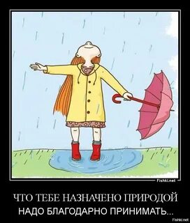 Любое время года надо благодарно принимать