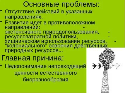 Эволюция экосистем