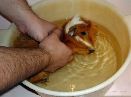 Можно ли мыть в воде