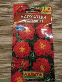 Аэлит семена