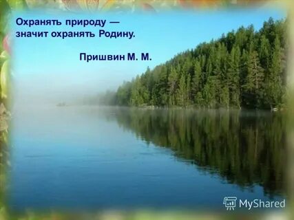 Охранять природу значит охранять родину