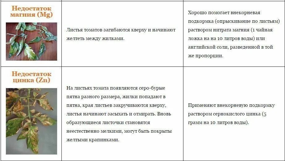 Нехватка питательных веществ у томата. Таблица нехватки микроэлементов у растений томатов. Недостаток микроэлементов у растений томата. Нехватка микроэлементов у растений по листьям таблица.