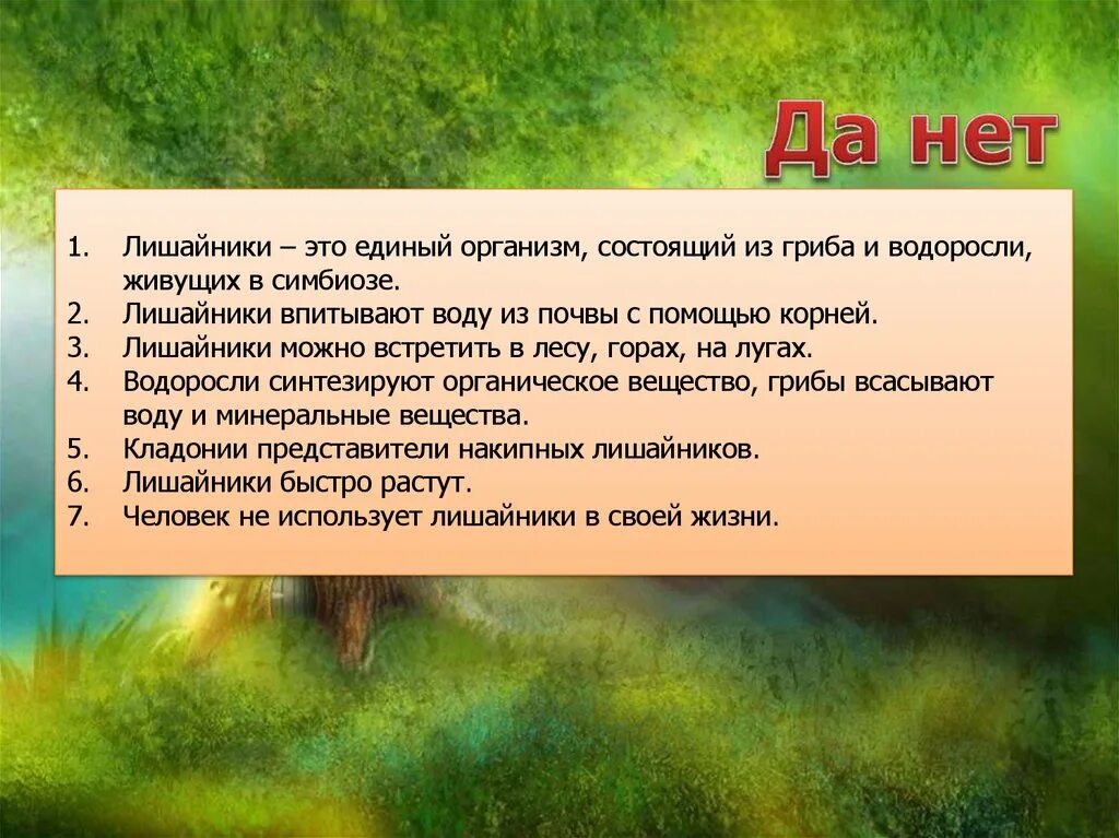 Лишайники поглощают. Поглощают воду лишайники поглощают.