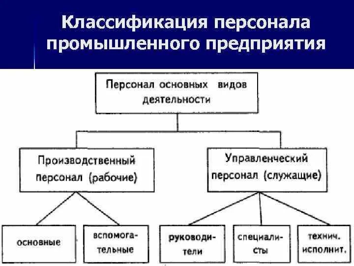 На какие группы подразделяются персонал. Классификация персонала организации. Приведите классификацию персонала предприятия. Классификация структуры персонала. Классификация персонала предприятия по различным признакам.