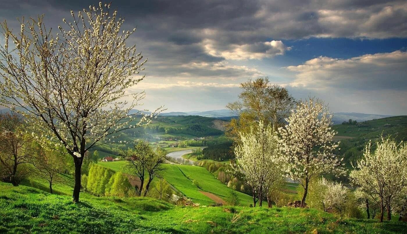 Пейзаж. Природа весной. Весенний пейзаж. Natural spring