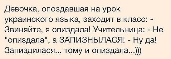 Анекдот про украинский. Анекдоты про украинцев. Смешные шутки на украинском. Анекдоты на украинском языке. Анекдот про урок украинского языка.