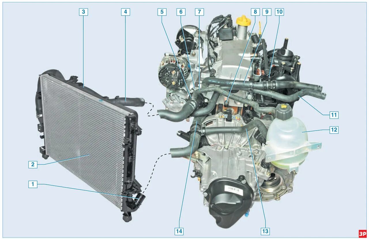 Система охлаждения Renault Logan 1.4. Система охлаждения Рено Логан 1.6 8. Система охлаждения двигателя Рено Логан 1.6. Двигатель автомобиля ларгус