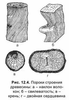 Пороки древесины картинка