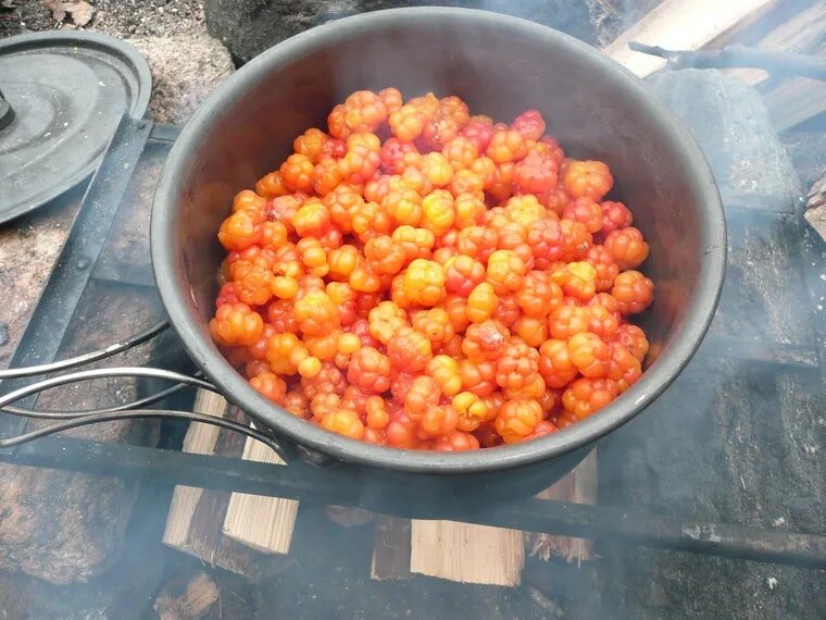 за запахом тайги. я еду за туманом и за запахом. я еду за туманом и за запахом. а я еду за туманом. а я еду за туманом кукин.