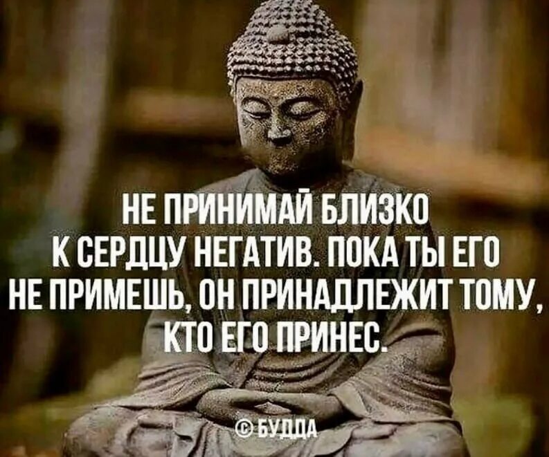 Высказывания про негативных людей. Высказывания о ненужных людях. Негатив цитаты. Мудрые мысли. Позитивные цитаты.