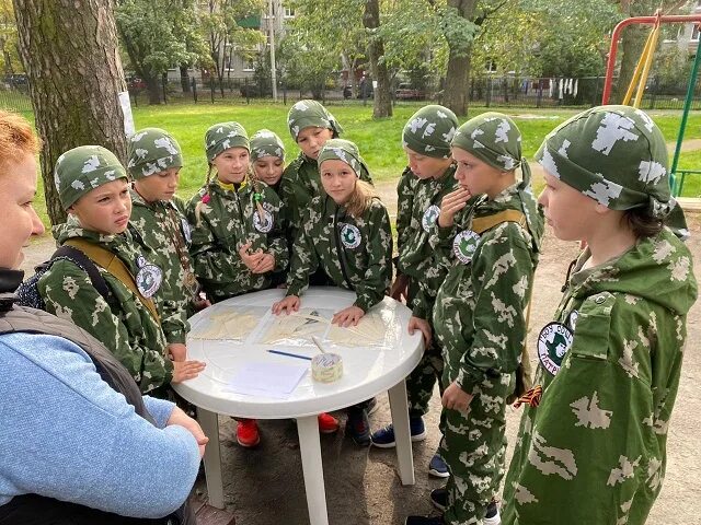 Курсы зарницы