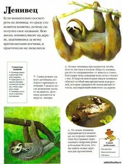 Обитатели описание