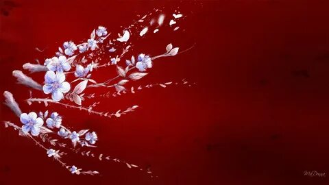 Sakura red