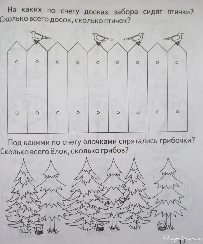 Порядковый счёт задания для дошкольников. Математика для дошкольников Порядковый счет. Математика Порядковый счет до 10. Математика счет до 10 для дошкольников.