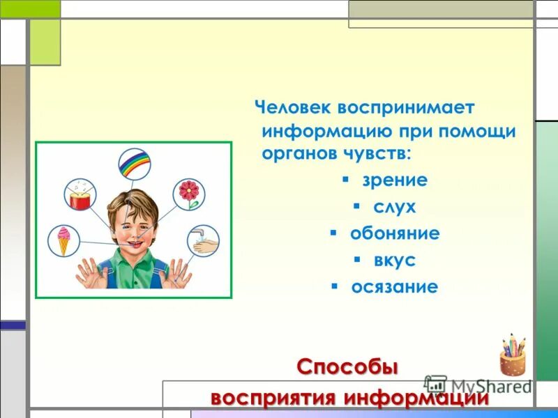 Информация воспринимаемая органами осязания. Информация воспринимаемая органами осязания
