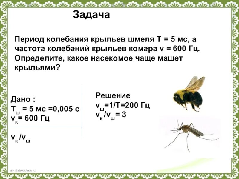 Почему комар чаще машет крыльями. Период колебаний крыльев шмеля 5 мс частота. частота колебаний крыльев комара 800гц. частота колебаний крыльев комара 600 гц. частота колебаний крыльев насекомых.