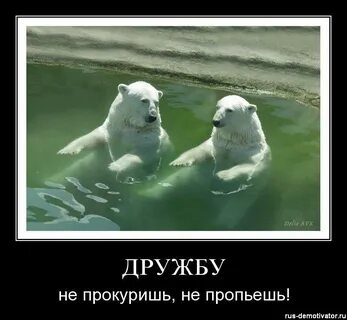 Надписи про дружбу картинки