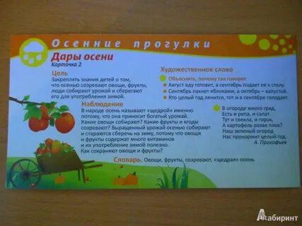 Какие фрукты в сентябре
