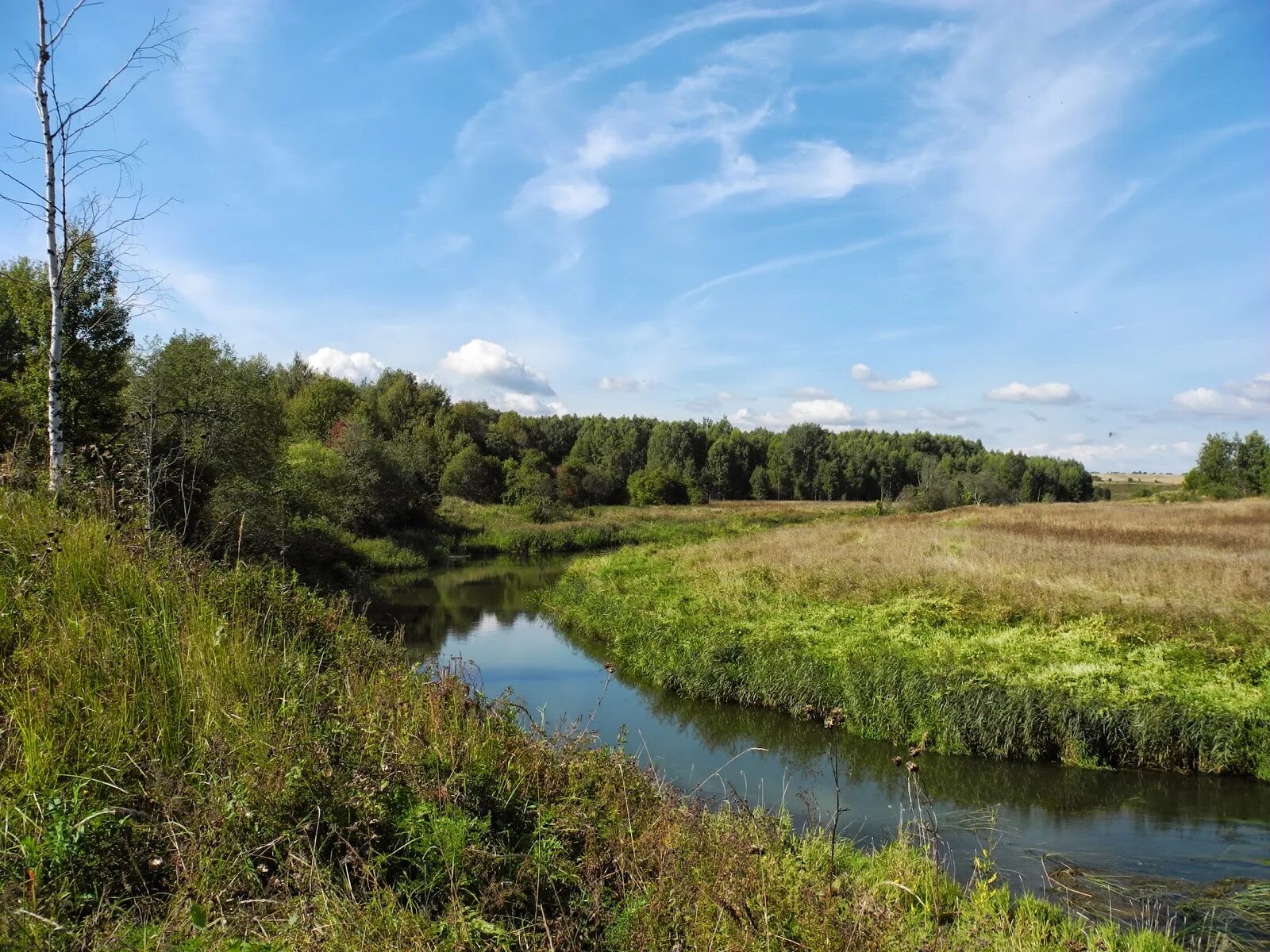 Сарское болото. Городище нижний джулат. Джулат кабардино-балкария. Сарское городище ростовский район. Сарский холм.