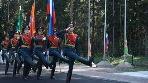 Зарница строй
