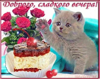 Открытка добрый вечер котятами