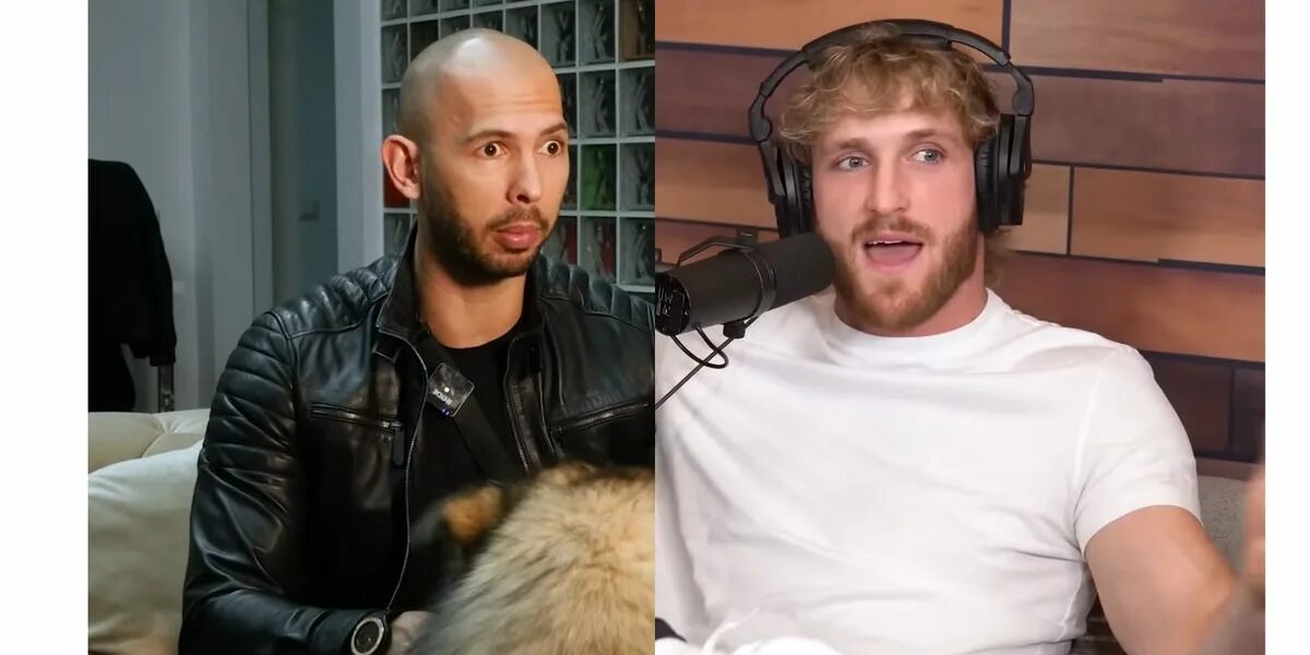 Call andrew. Andrew tate prison. logan paul.