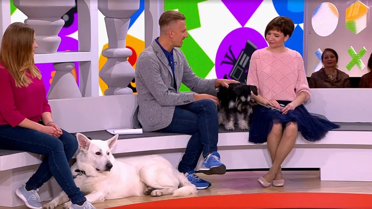 Детский квн ведущие 2021. Видели видео ведущий. Видели видео? сериал. Вечерний ургант выпуски 2021. Александр смол видели видео.