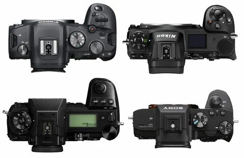 Canon r6 vs