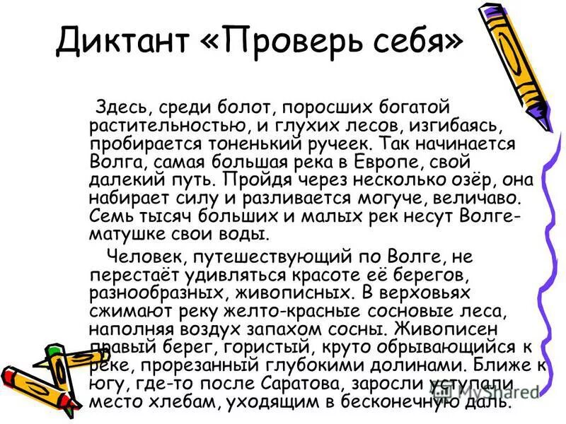 здесь среди глухих лесов изгибаясь пробирается тоненький ручеёк. летняя лесная топь болото лес пруд. здесь среди болот и глухих лесов. болота весной. болотистые леса румыния.