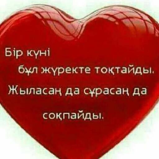 Ж?рек сыры. Ж?рек сыры. Ваше сердце в наших руках. Сердце. Здоровье сердца в твоих руках.
