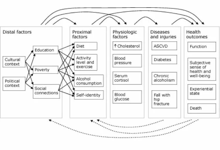 Policy optimization