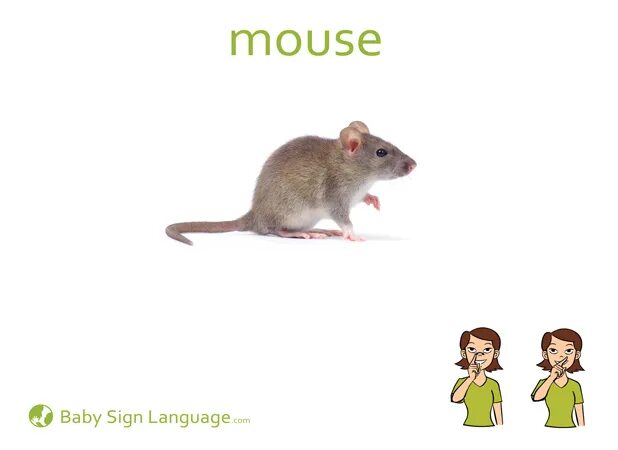 С английского на русский язык mice