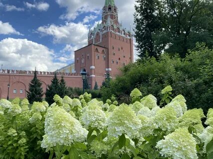 Участки москва лето