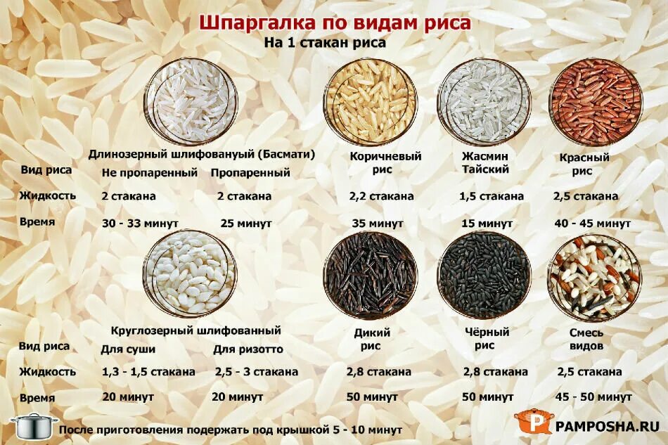 Как называется крупа риса. Рис виды и сорта. виды риса. сорта риса названия. какой бывает рис.