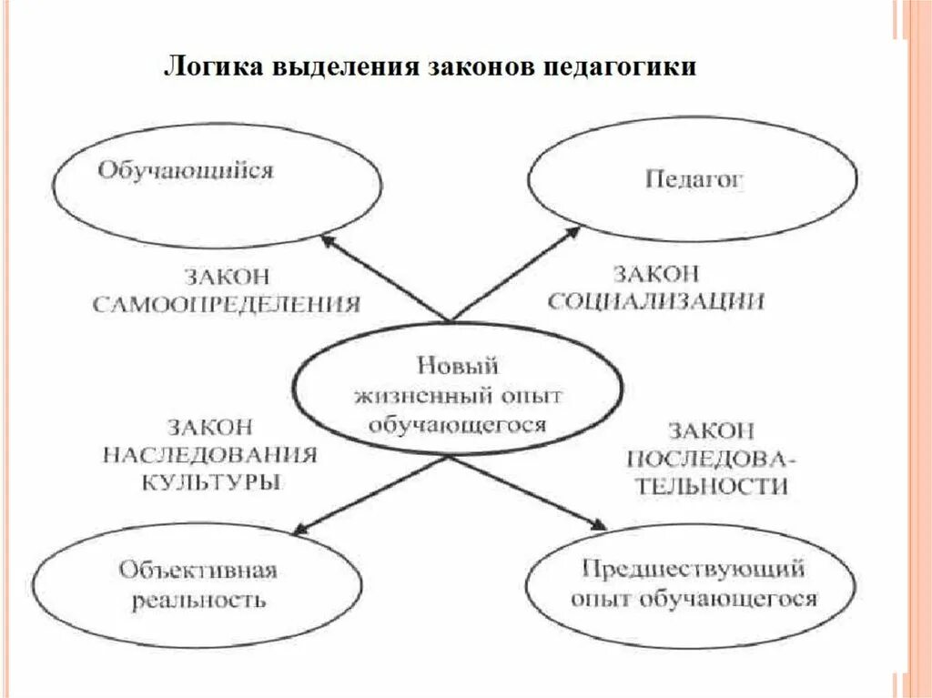 Структура современной педагогики. Схемы по педагогике. взаимосвязь дидактика и педагогика. взаимосвязь дидактики с другими науками схема. взаимосвязь дидактики и педагогики схема.