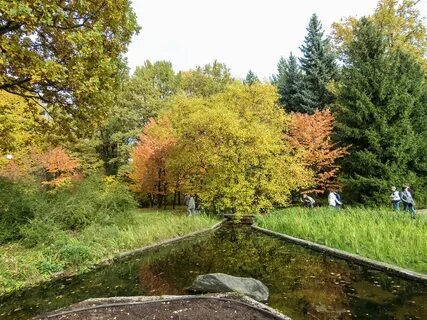 Ботанический сад цицина отзывы