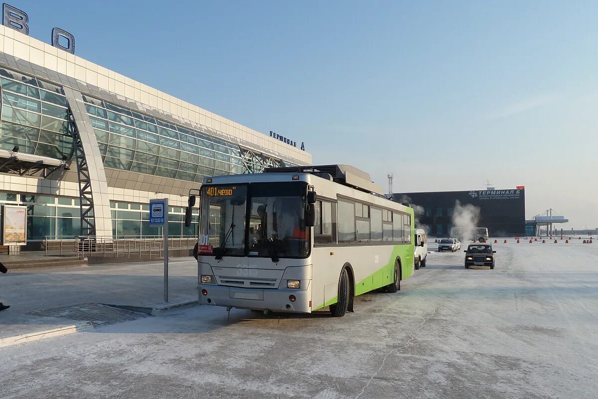 Автовокзал Толмачево Новосибирск. МАЗ 171 аэропорт Толмачево. Ст-6217м троллейбус. Автобус "аэропорт". Автобус из аэропорта новосибирска