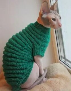 Свитер для кота спицами