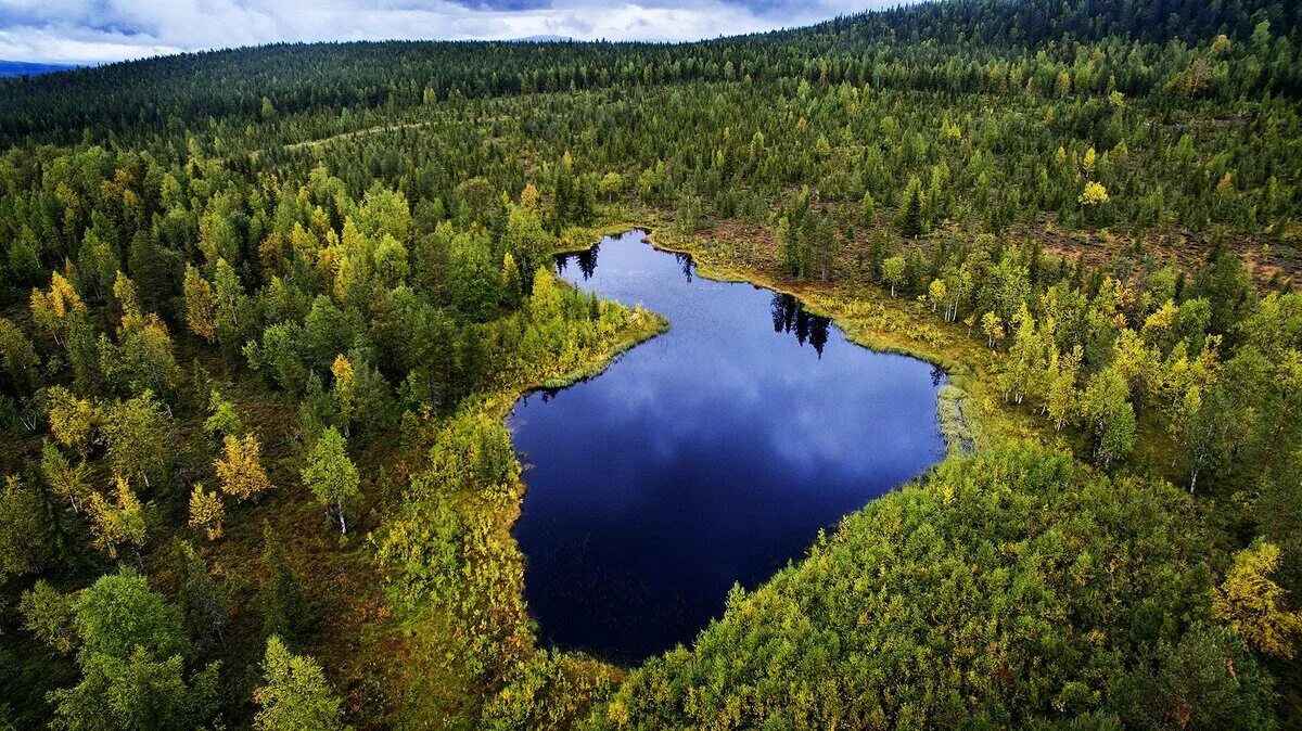 Озеро Штерн Финляндия. Озеро Суоми Финляндия. Финляндия 1000 озер. Лесные ресурсы Финляндии.