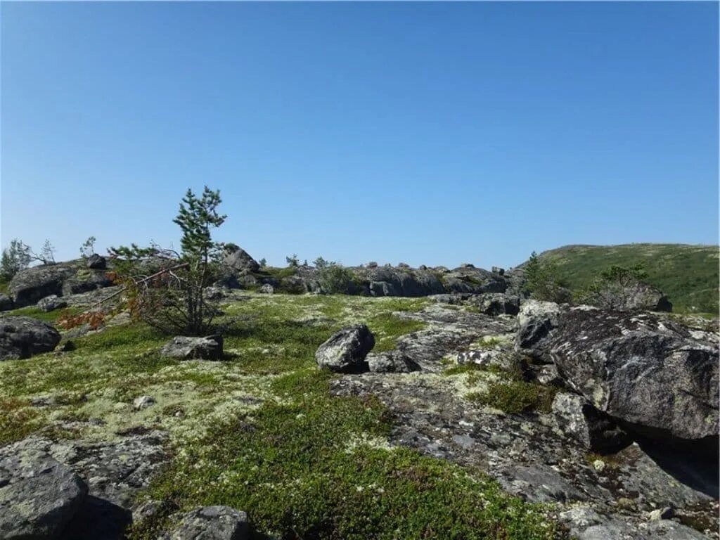 Звон камней. Камни Кольского полуострова. В Кандалакше камень. Сопка волосяная Кандалакша. Звенящий камень Кандалакша.