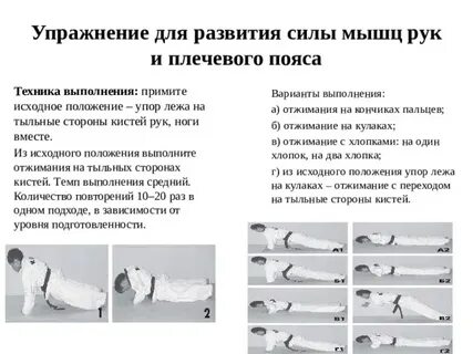 Упражнения для развития силы мышц