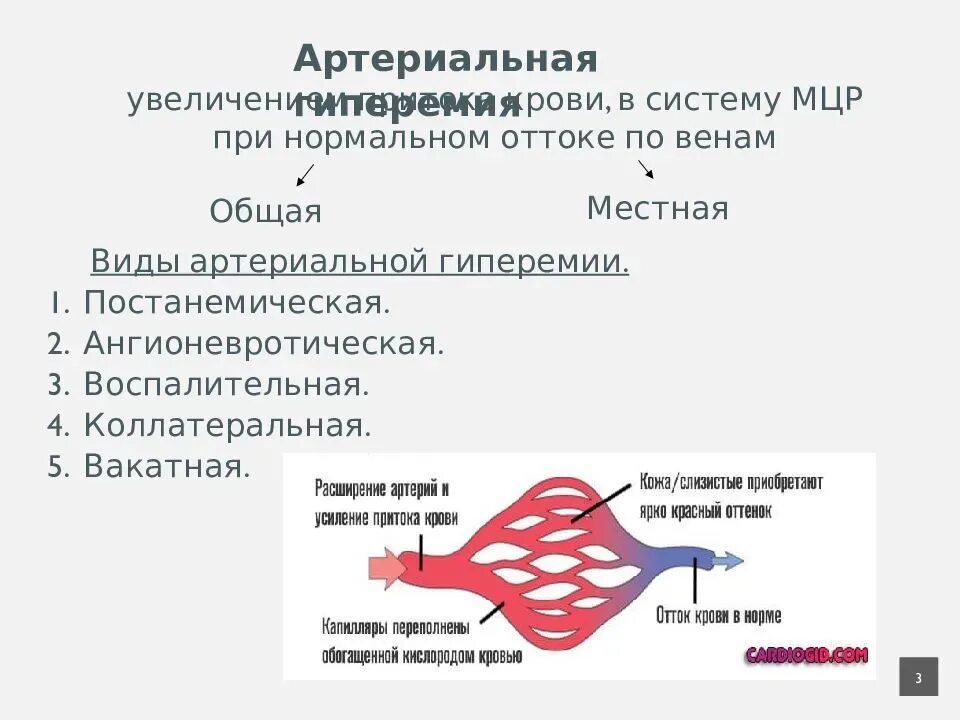 Артериальная гиперемия воспаление. Артериальная гиперемия. Артериальная гиперемия венозная гиперемия. Нейротоническая артериальная гиперемия. Состояние сосудов при артериальной гиперемии.