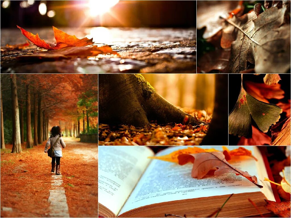 In autumn it is often. Осенний коллаж. Коллаж осень. Фотоколлаж осень. Коллаж осеннее настроение.