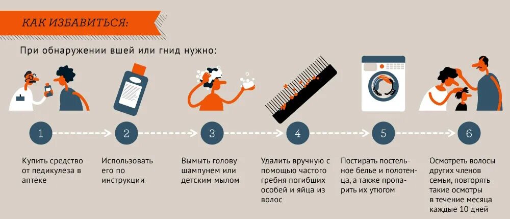 Схема обработка пациента с педикулезом. Мероприятия при выявлении педикулеза схема. Профилактика заражения педикулезом. Схема обработки педикулеза. 5 лет как избавиться