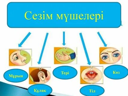 Подруги оның үлкен клиторын соруға мүмкіндік береді (порно көру)