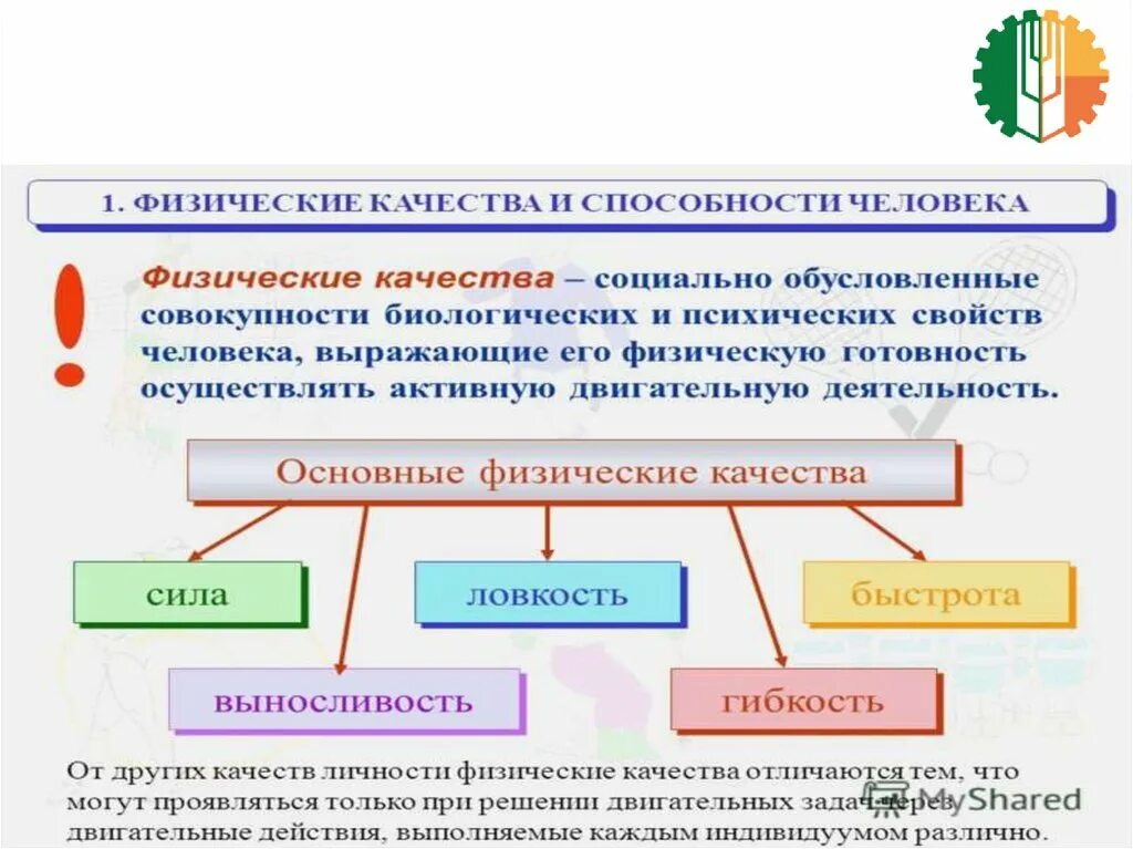 Какие физические качества нужны. Характеристика основных физических качеств. Формирование физических качеств. Совершенствование физических качеств. Основные физические качества.