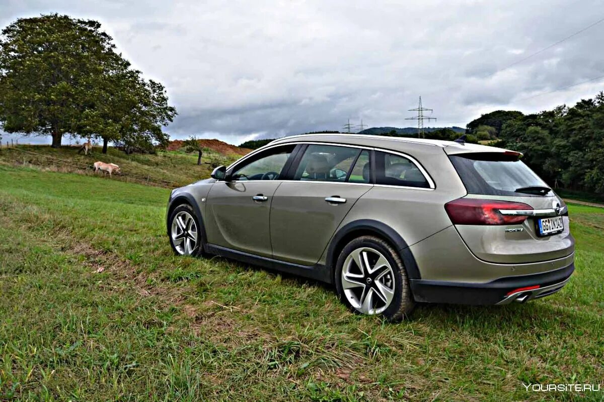 Country touring. Инсигния Кантри Турер. Опель Инсигния универсал. Opel Insignia Country Tourer. Опель Инсигния Кантри Турер 2014.