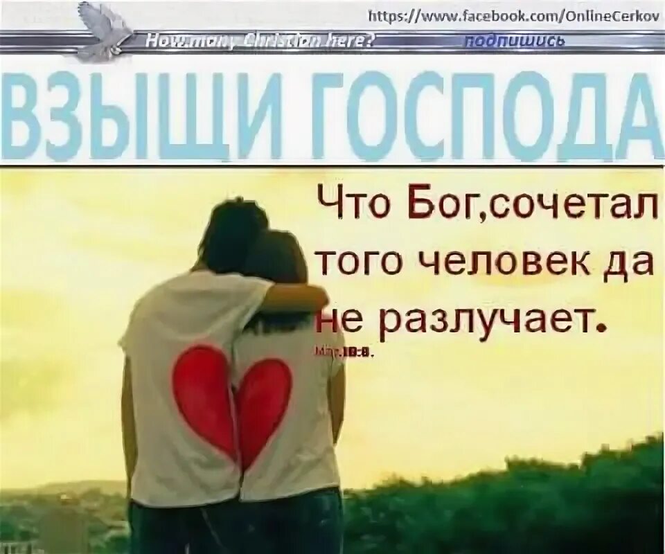 Что бог сочетал того человек не разлучает. Что бог сочетал того человек да не разлучает. что бог сочетал того человек. то что бог сочетал человек не разлучит. то что соединил бог.