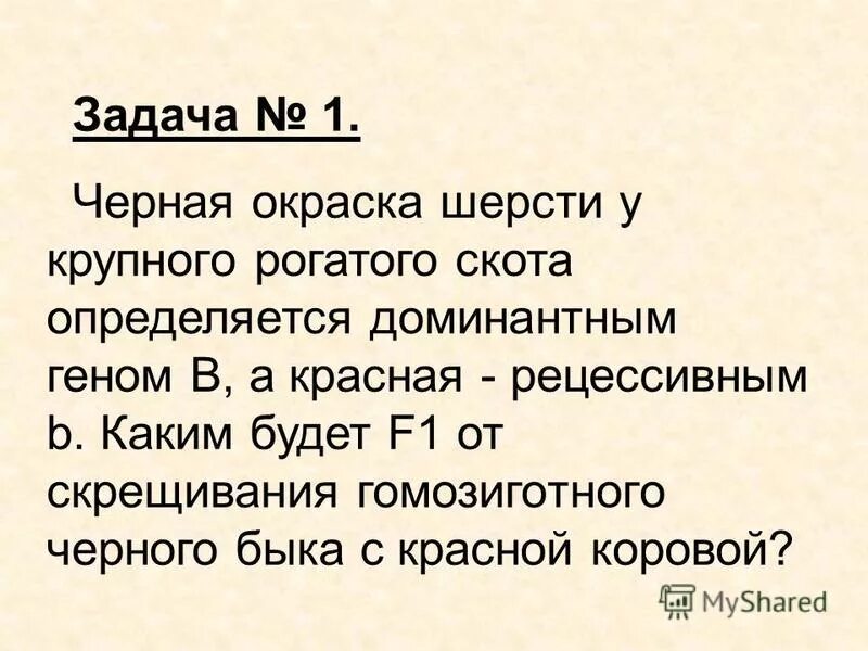красная горбатовская корова. у крупного рогатого скота при генотипе аа. у крупно рогатого скота черный цвет а доминирует над красным. комолость у рогатого скота. у крупного рогатого скота красная.